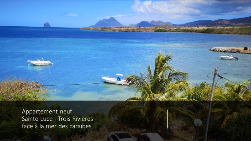 T2 Les Pieds Dans L'Eau Face A La Mer Des Caraibes Sainte Luce - Trois Rivieres Eksteriør bilde